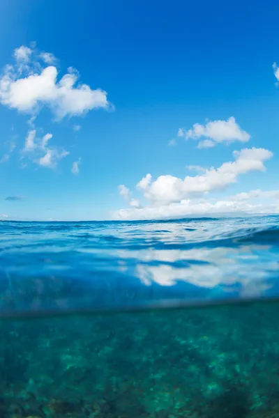 Tropisk hav, delt utsikt Halvveis under vann – stockfoto
