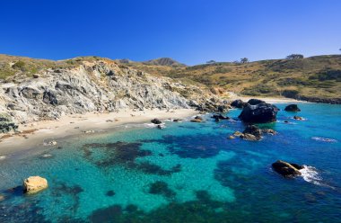 Beautiful Beach on Catalina Island clipart