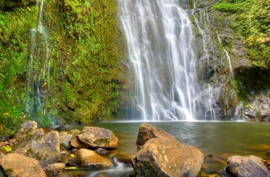 Beautiful Lush Waterfall clipart