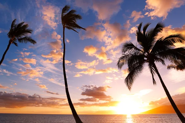 Закат на Гавайях — стоковое фото
