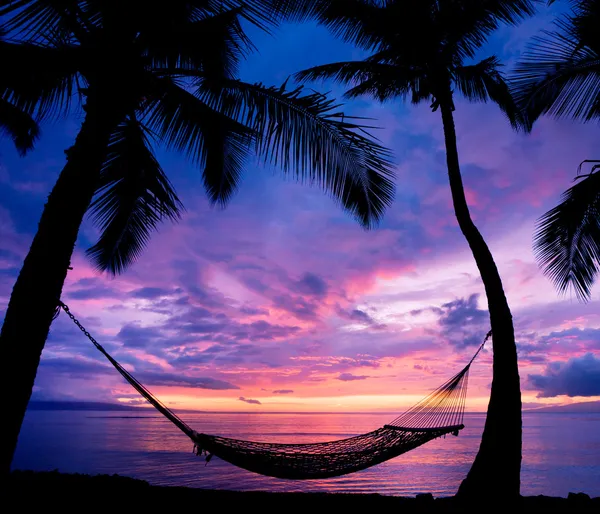Hermosa puesta del sol de las vacaciones, silueta de la hamaca con las palmeras —  Fotos de Stock