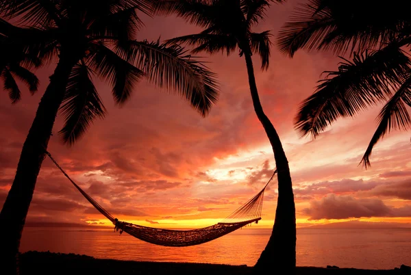 Закат отпуска, гамаковый силуэт с пальмовыми деревьями — стоковое фото