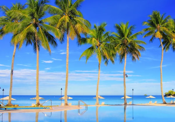 Piscina de resort tropical — Fotografia de Stock
