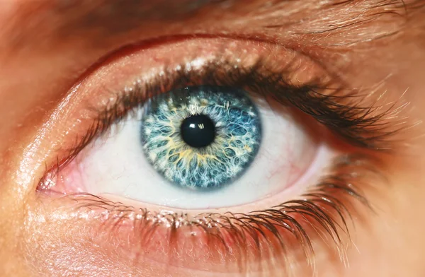 Vista macro do olho humano — Fotografia de Stock