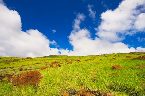 Campo verde y cielo azul — Foto de Stock