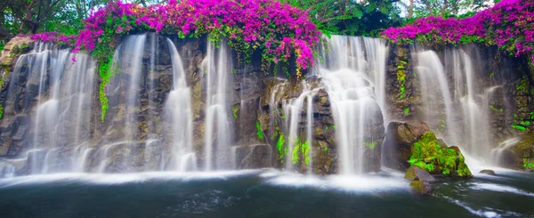 Hermosa cascada exuberante — Foto de Stock