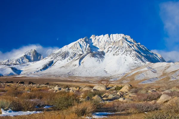 Karlı dağ — Stok fotoğraf
