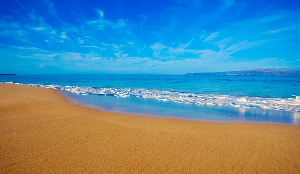 Den tropiske stranden på Hawaii – stockfoto