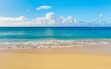 Картина, постер, плакат, фотообои "пляж и тропическое море", артикул 8486144