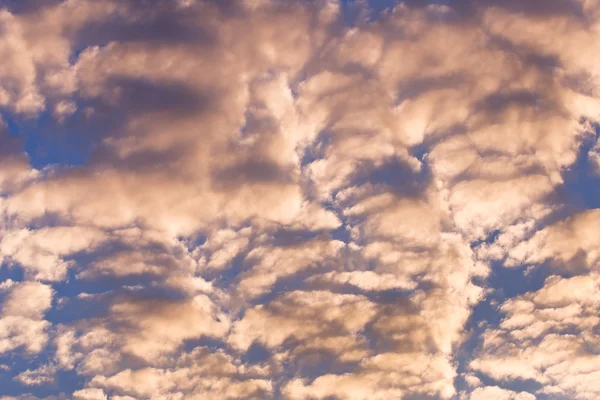 Золотий хмари заходу сонця — стокове фото