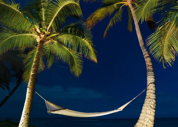 热带夜、 棕榈树和吊床 — 图库照片