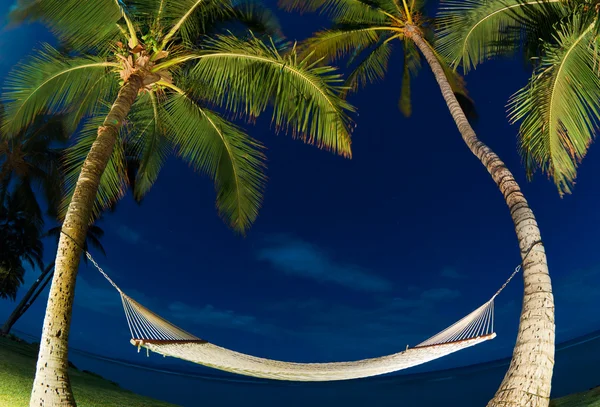 Tropická noc, palmy a houpací sítě — ストック写真
