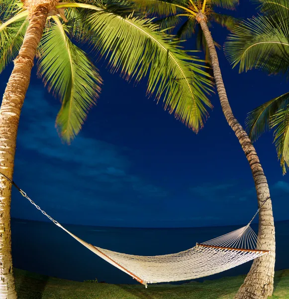 Tropická noc, palmy a houpací sítě — Stock fotografie