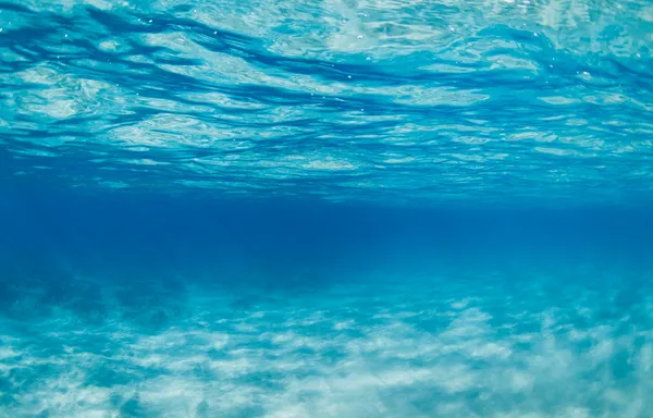 Su altında. — Stok fotoğraf