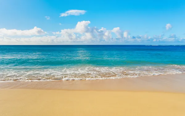 Playa y mar tropical Imágenes de stock libres de derechos