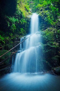 Beautiful Lush Waterfall in Hawaii clipart