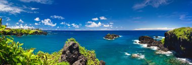 Tropical Ocean Coastline in Hawaii
