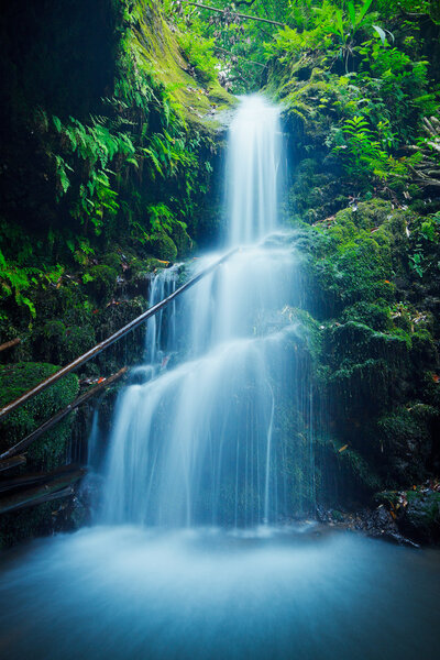 Beautiful Lush Waterfall in Hawaii