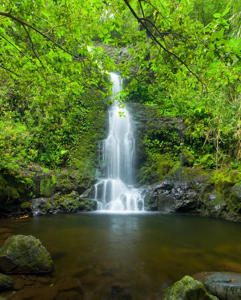 在夏威夷的美丽茂盛瀑布 — 图库照片