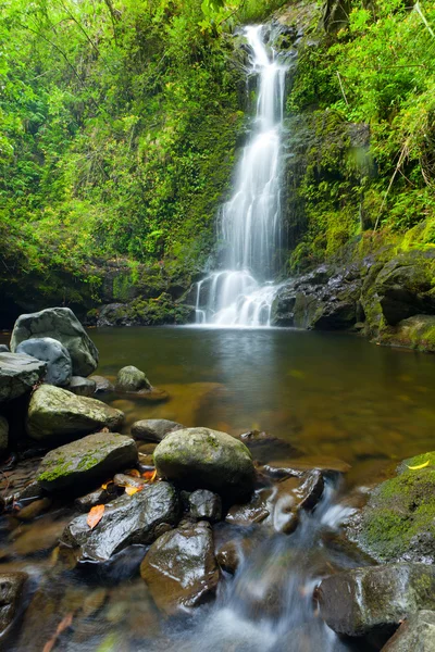 在夏威夷的美丽茂盛瀑布 — 图库照片