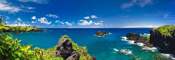 Береговая линия тропического океана на Гавайях — стоковое фото