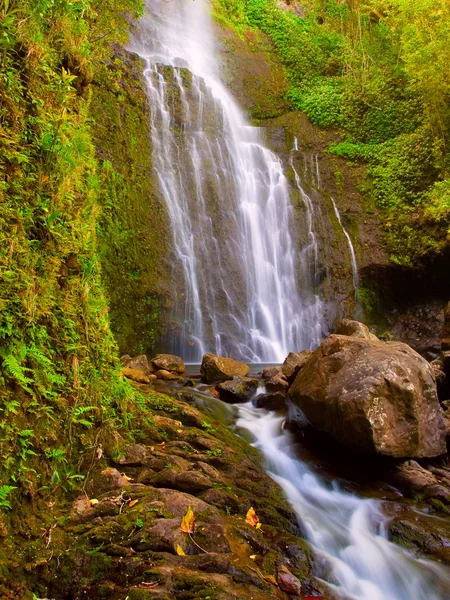 Красивый пышный водопад — стоковое фото