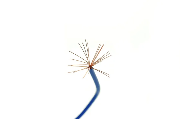 stock image Blue electric wire