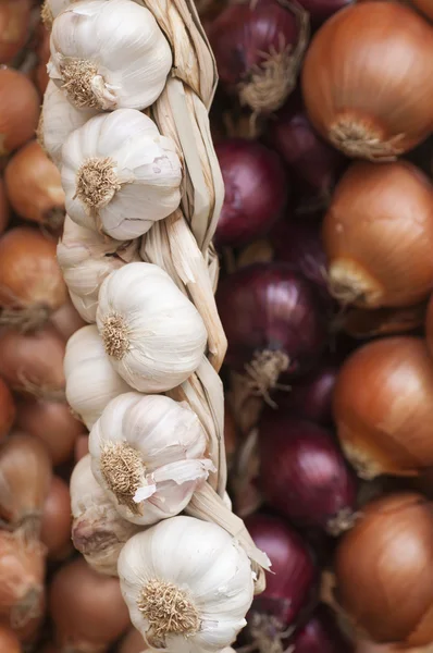 Κρεμμύδια και το σκόρδο για διαφορετικούς τύπους, μεγέθη και χρώματα — Φωτογραφία Αρχείου