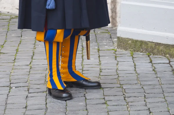 stock image Swiaa guard of the Vatican detail of the uniform with rain cover