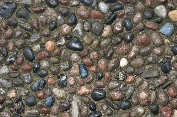 Wall of colorful pebbles — Stock Photo, Image