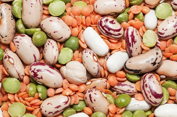 stock image Variety of pulses