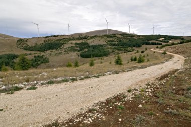 Çimen enerji: Rüzgar enerji Rüzgar türbinleri ile