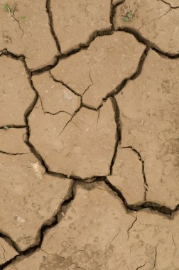 Cracks on ground induced by dry weather clipart