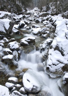 Kış panoramik bir dağ Vadisi