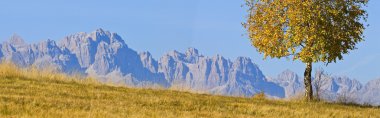 Mountain panoramic and solitary tree clipart