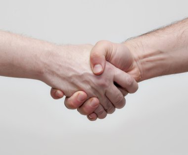 Shaking hands in agreement with white background clipart