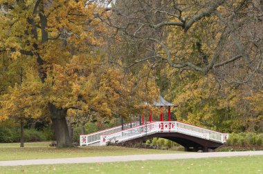 Japon tarzı park ilham huzur ve meditasyon