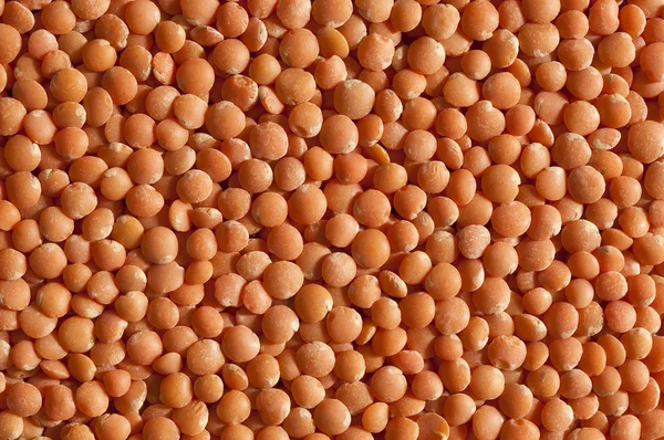 stock image Red lentils