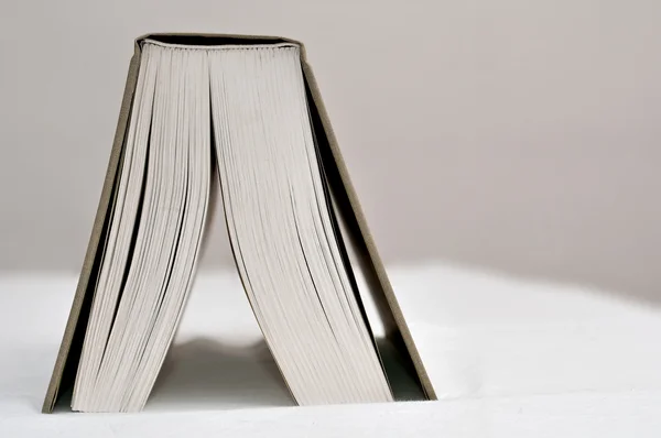 Un gran libro abierto en una mesa desde el lado de la página — Foto de Stock