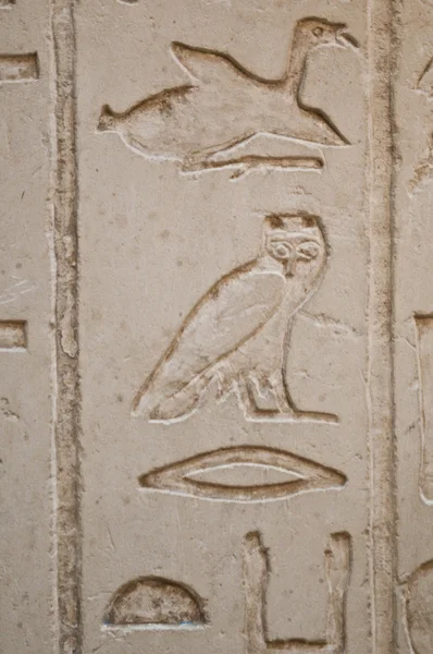 Egiptian hieroglyphs engraved on stone — Stock Photo, Image