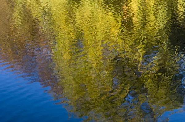 Reflexão de árvores amarelas no outono na água — Fotografia de Stock