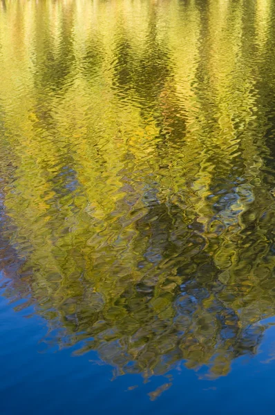 Reflexão de árvores amarelas no outono na água — Fotografia de Stock