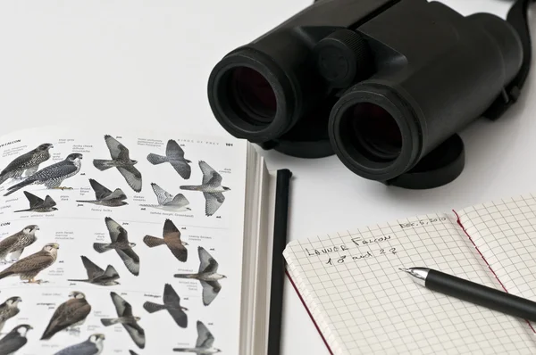 鸟类观察者工具、 双筒望远镜、 指南、 铅笔、 笔记本 — 图库照片