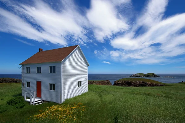 stock image Summer landscape