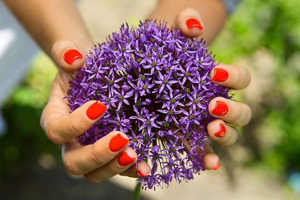 stock image Flower in hand