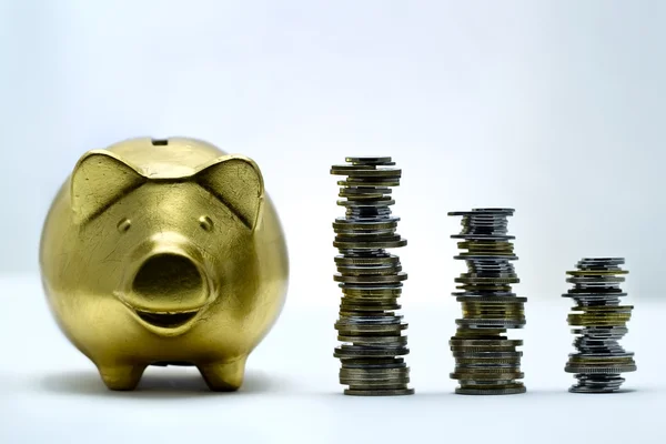 Pig with coins — Stock Photo, Image