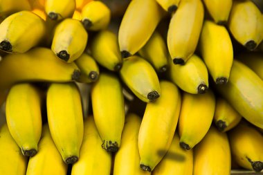 Many yellow bananas clipart