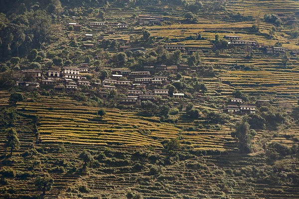 Field of nepal — Stock Photo, Image