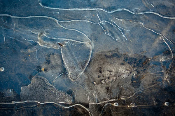 Заморожені води Стокова Картинка