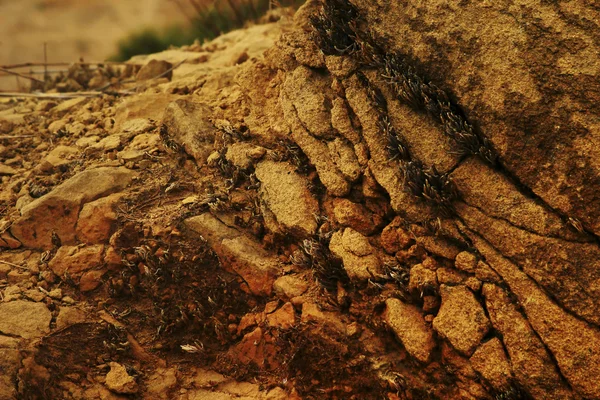 Photo of rocks in the desert — Stock Photo, Image